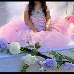 Princess birthday dress